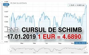 BNR: 4.6890 lei/euro, leul atinge un nou minim in raport cu euro 1