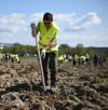 Proiectul Pădurea de Mâine continuă cu plantarea a 10 hectare la Dumbrăvița, Brașov 1